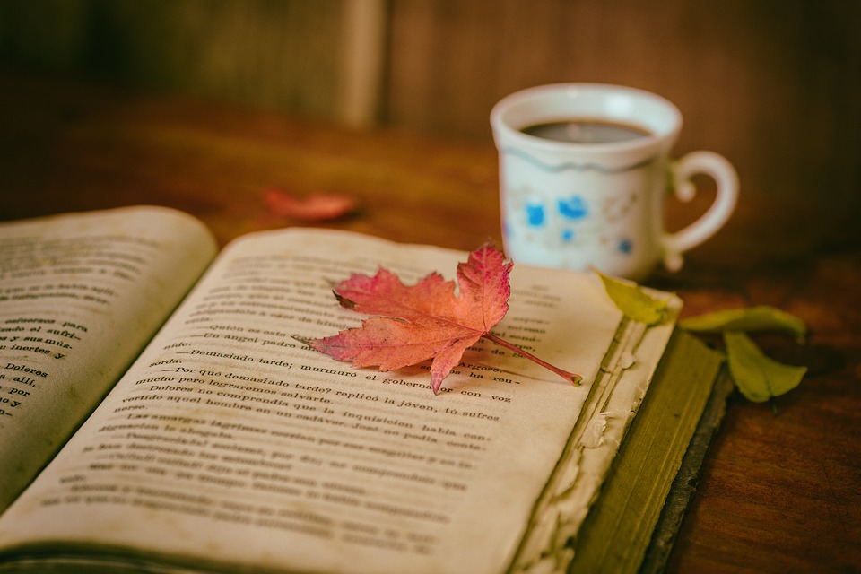 Reading in Autumn